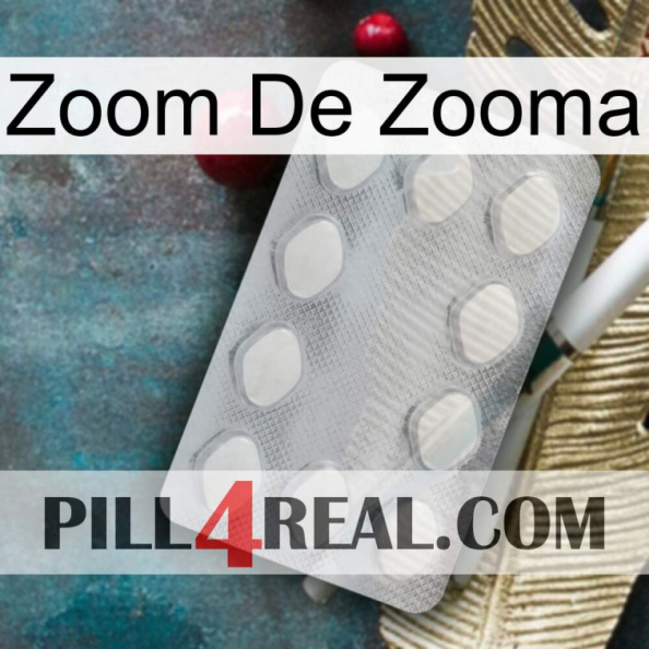 Zooma Zoom 16.jpg